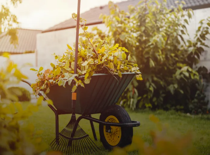 Hosten denperfektearstidforlittopprydding 02